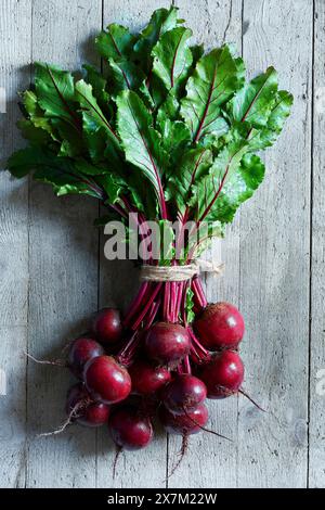 Bunch of fresh beetroots over a gray wooden backround Stock Photo
