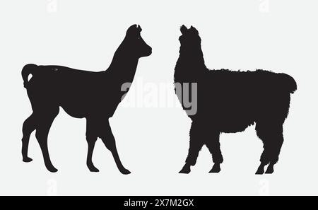 Majestic Alpaca Silhouette, Capturing the Grace and Beauty in Shadow Stock Vector