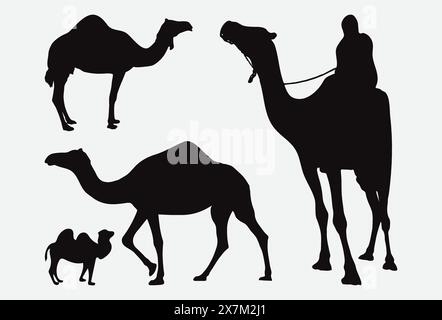 Majestic Camels Silhouette Vector Art Collection Stock Vector