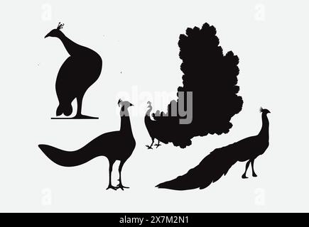 Elegant Peacocks Silhouette Art Collection in Stunning Detail Stock Vector