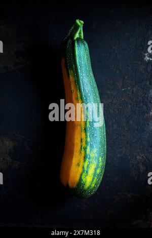 Fresh home-grown yellow-green zucchini on a black metal background Stock Photo