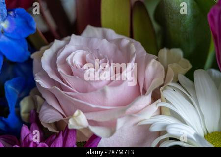 Close up texture background of an indoor florist’s bouquet arrangement containing colorful flowers, with defocused background Stock Photo