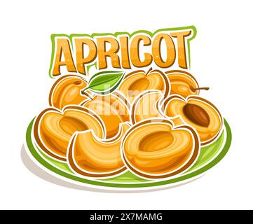 Vector logo for Apricot, decorative horizontal poster with outline illustration of orange apricot composition with green leaf on stem, cartoon design Stock Vector