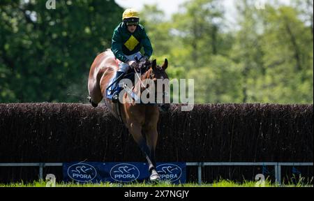 Tabley Races 2023 Imagery from the 2024 Knutsford Races, Tabley Hall, Cheshire, Sunday ...