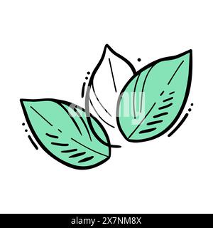Leaves Mint stylized doodle, contour drawing mint color, isolated on white background. Vector illustration Stock Vector