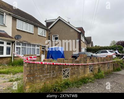 A police cordon in Cornwall Close, Hornchurch, east London, where a dog owner has been mauled to death by her two registered XL bullies in the latest tragedy involving the banned breed. The woman, aged in her 50s, was fatally attacked just after 1pm on Monday. Picture date: Tuesday May 21, 2024. Stock Photo