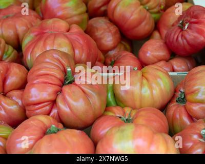 bulk tomatoes on display for sale at the market Stock Photo