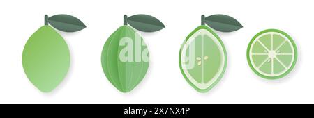 Set of 3d papercut lime sliced cutout citrus fruit. Summer layered fruits. Juicy food elements for restaurant, food, drinks, bars, recipes, summer, sw Stock Vector