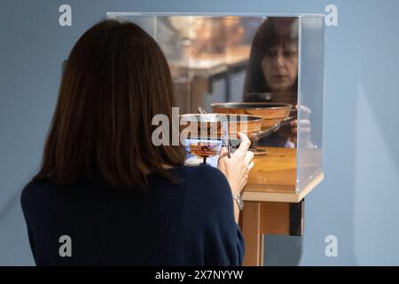 Rome, Italy. 20th May, 2024. Detail of exhibition 'THEATER. Authors, actors and audiences in ancient Rome' at the Ara Pacis museum in Rome (Photo by Matteo Nardone/Pacific Press/Sipa USA) Credit: Sipa USA/Alamy Live News Stock Photo