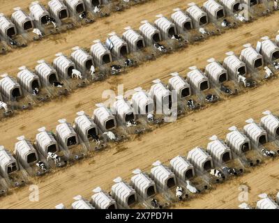 (240521) -- BAOTOU, May 21, 2024 (Xinhua) -- An aerial drone photo ...