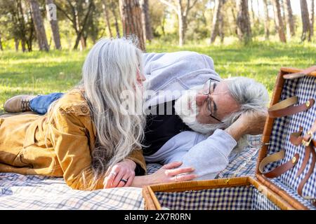 A serene outdoor scene portraying an elderly couple lying on a picnic blanket, comfortably sharing a moment of affection in a sunlit park, surrounded Stock Photo
