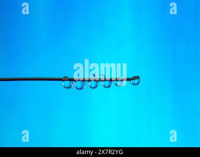 A minimalist image showcasing a row of clear water drops delicately clinging to a thin stem, set against a tranquil clear blue sky background. Stock Photo