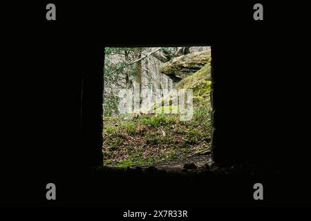 View of lush forest and moss-covered rocks seen from a dark cave opening. Stock Photo