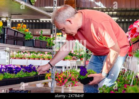 An elderly man in a casual pink shirt and jeans carefully tends to various colorful plants at a busy garden center, focusing on nurturing each plant Stock Photo