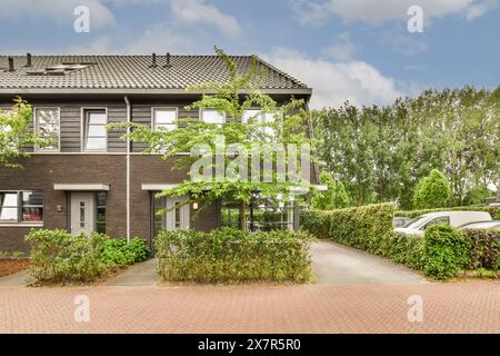 Modern suburban house featuring dark brick façade, tiled roof, and surrounded by vibrant greenery, with a neat paving stone driveway leading to the ma Stock Photo