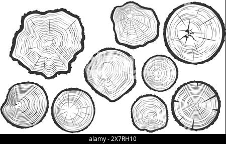 Tree trunk cuts with cracks, wood saw cuts set, timber texture, segment of tree growth rings, vector Stock Vector