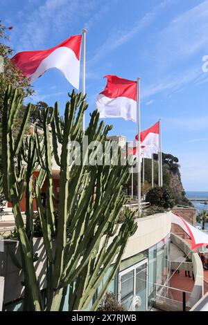 Monaco, Monaco - 19.03.2023: Flags of Monaco fluttering in the wind near the rock with the castle of Grimaldi Stock Photo