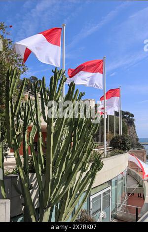 Monaco, Monaco - 19.03.2023: Flags of Monaco fluttering in the wind near the rock with the castle of Grimaldi Stock Photo