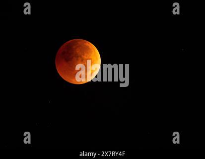 Lunar eclipse (blood moon) Stock Photo