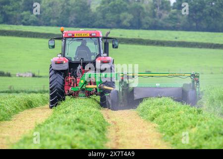 Silage cutting Stock Photo