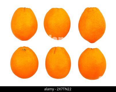 calabrian oval blond oranges path isolated on white Stock Photo