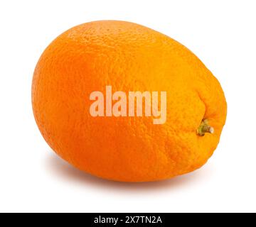 calabrian oval blond oranges path isolated on white Stock Photo