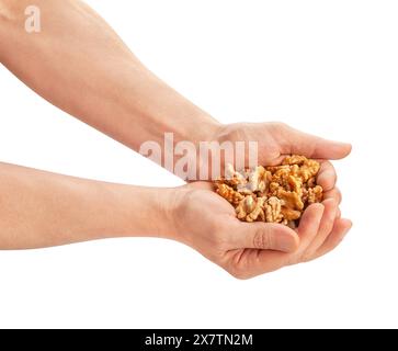 walnuts heap in hand path isolated on white Stock Photo
