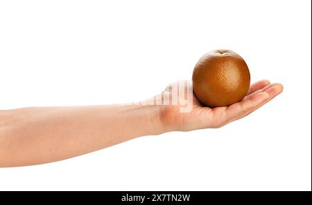 chocolate orange in hand path isolated on white Stock Photo