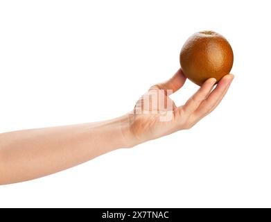 chocolate orange in hand path isolated on white Stock Photo