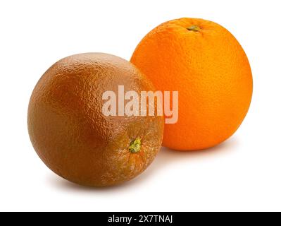 chocolate oranges mix path isolated on white Stock Photo
