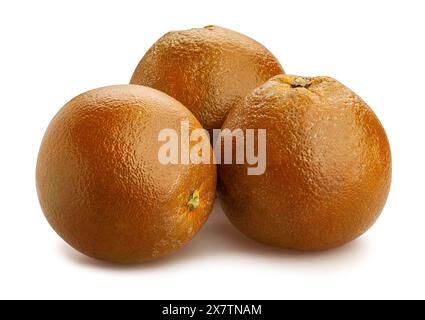 chocolate oranges path isolated on white Stock Photo