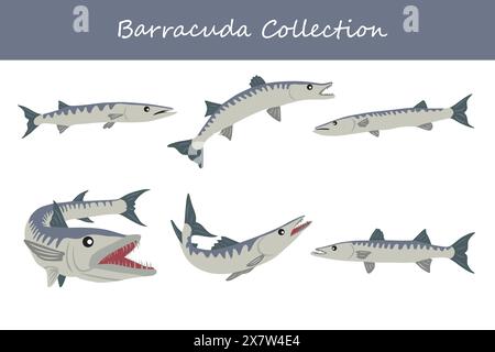 barracuda collection. barracuda in different poses. Vector illustration. Stock Vector