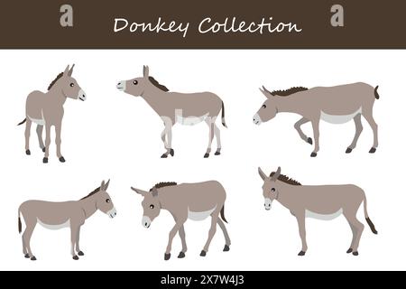 donkey collection. donkey in different poses. Vector illustration. Stock Vector