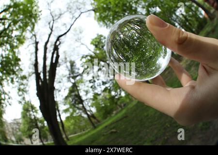 Beautiful green trees outdoors, overturned reflection. Man holding crystal ball in park, closeup. Wide-angle lens Stock Photo