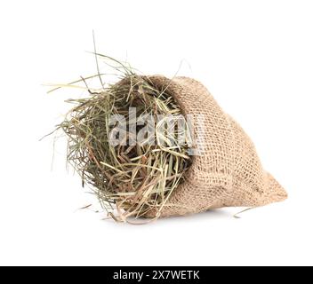 Dried hay in burlap sack isolated on white Stock Photo