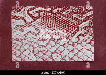 Genuine leather texture with imitation of exotic reptile surface in frame, trendy background. Copy space Stock Photo