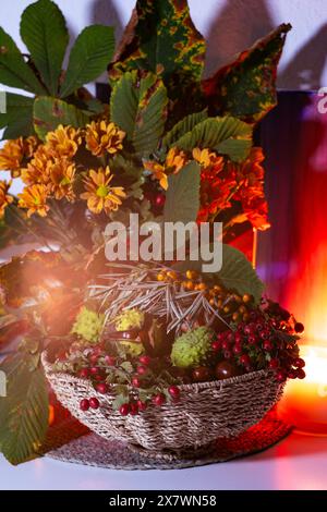 A beautiful composition of chestnuts, autumn flowers and leaves, sea buckthorn and hawthorn berries. Autumn still life, autumn bouquet in a wicker bas Stock Photo