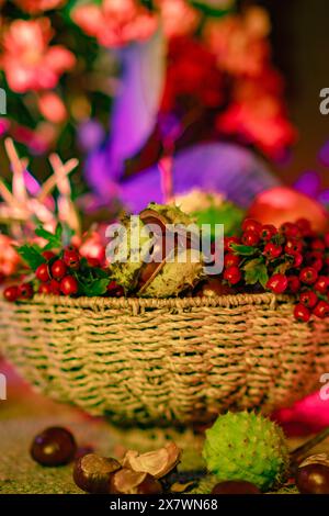 A beautiful composition of chestnuts, autumn flowers and leaves, sea buckthorn and hawthorn berries. Autumn still life, autumn bouquet in a wicker bas Stock Photo