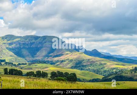 Champagne valley in Drakensberg dragon mountains on a cloudy day Stock Photo