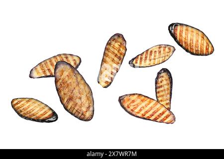 Slices of grilled eggplants in air on white background Stock Photo