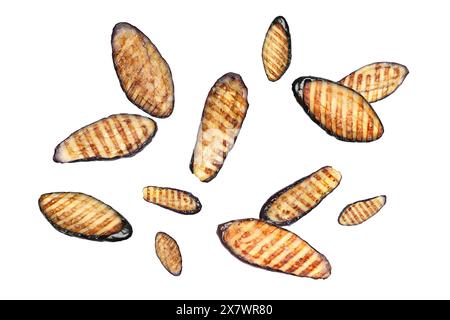Slices of grilled eggplants in air on white background Stock Photo