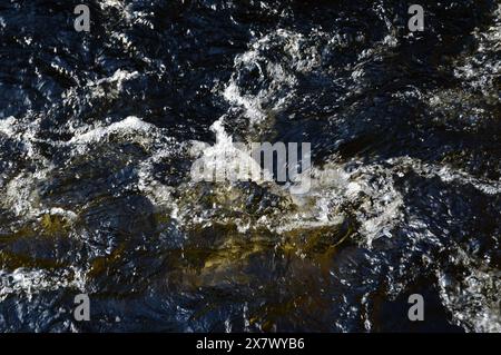 Abstract patterns made by swirl of salmon jumping up the fish ladder Pitlochry,Perthshire, Scotland Stock Photo