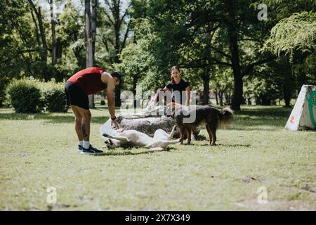 Active couple stretching and relaxing with dogs in a sunny park Stock Photo