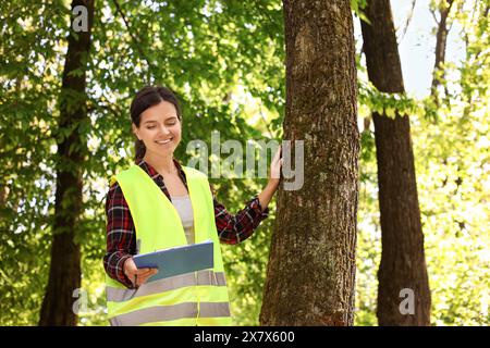 Forester with clipboard examining tree in forest Stock Photo