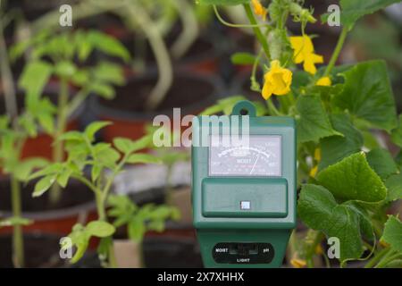 Three way meter to measure the soil pH, light and moisture level ...