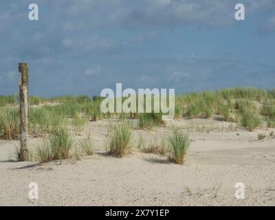 Barren sand dunes with scattered tufts of grass under a partly cloudy sky, lonely beach with dune grass in the neighbouring dunes and marker posts, cl Stock Photo