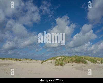 Extensive sand dunes with tufts of grass and a clear blue sky with clouds, lonely beach with dune grass in the neighbouring dunes and marker posts, cl Stock Photo