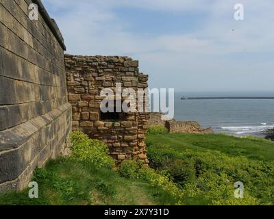 A historic fortress wall in front of the ocean on a sunny day with a green meadow in the foreground, ruins and old stone walls by the sea, green field Stock Photo