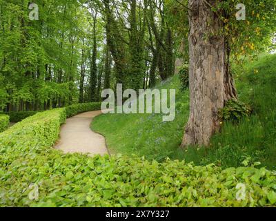 A winding path flanked by hedges and trees in spring woodland, small footpath among green trees, newcastle, England, United Kingdom, Europe Stock Photo