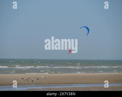 Two colourful kites in the sky over a calm coast with a few birds on the beach, wide sandy beach by the sea with seagulls and a city panorama on the p Stock Photo